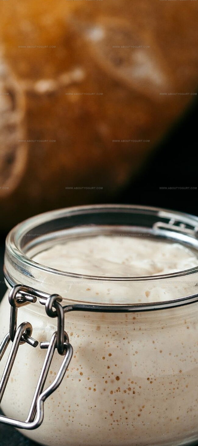 Tips To Make James Martin Bread Sauce Just Right