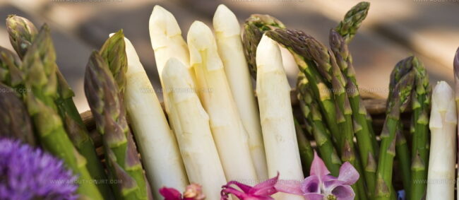 Marchfeldspargel