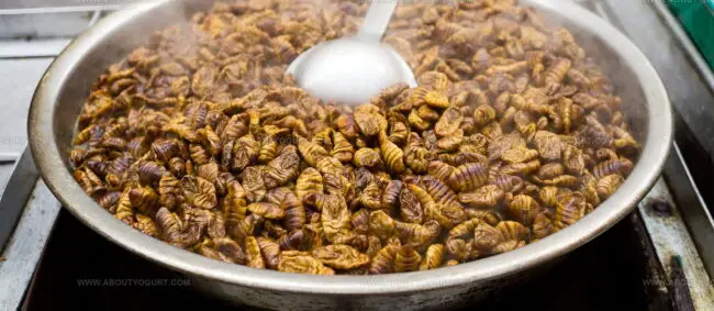 Beondegi