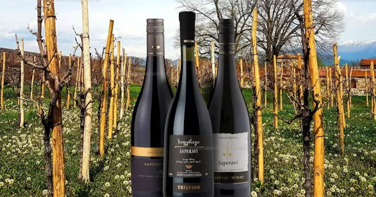 24 Exciting Eastern European Alcoholic Drinks to Sip Now