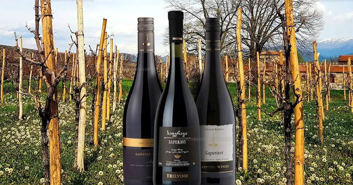 24 Exciting Eastern European Alcoholic Drinks to Sip Now