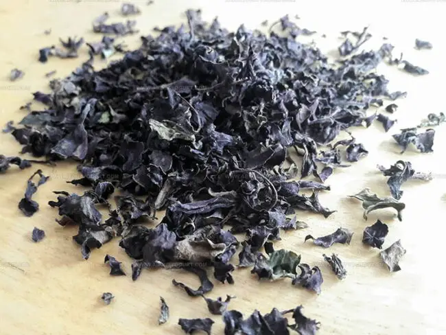Fresh vs. Dried Basil