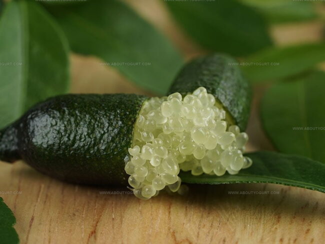 Finger Lime